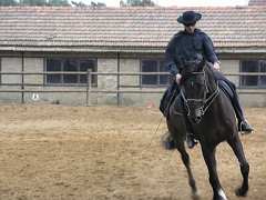 photos- Christophe 101